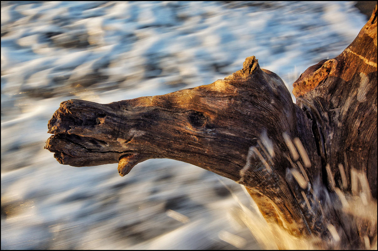 Castaways 8 | Mauricio Alcaraz Carbia