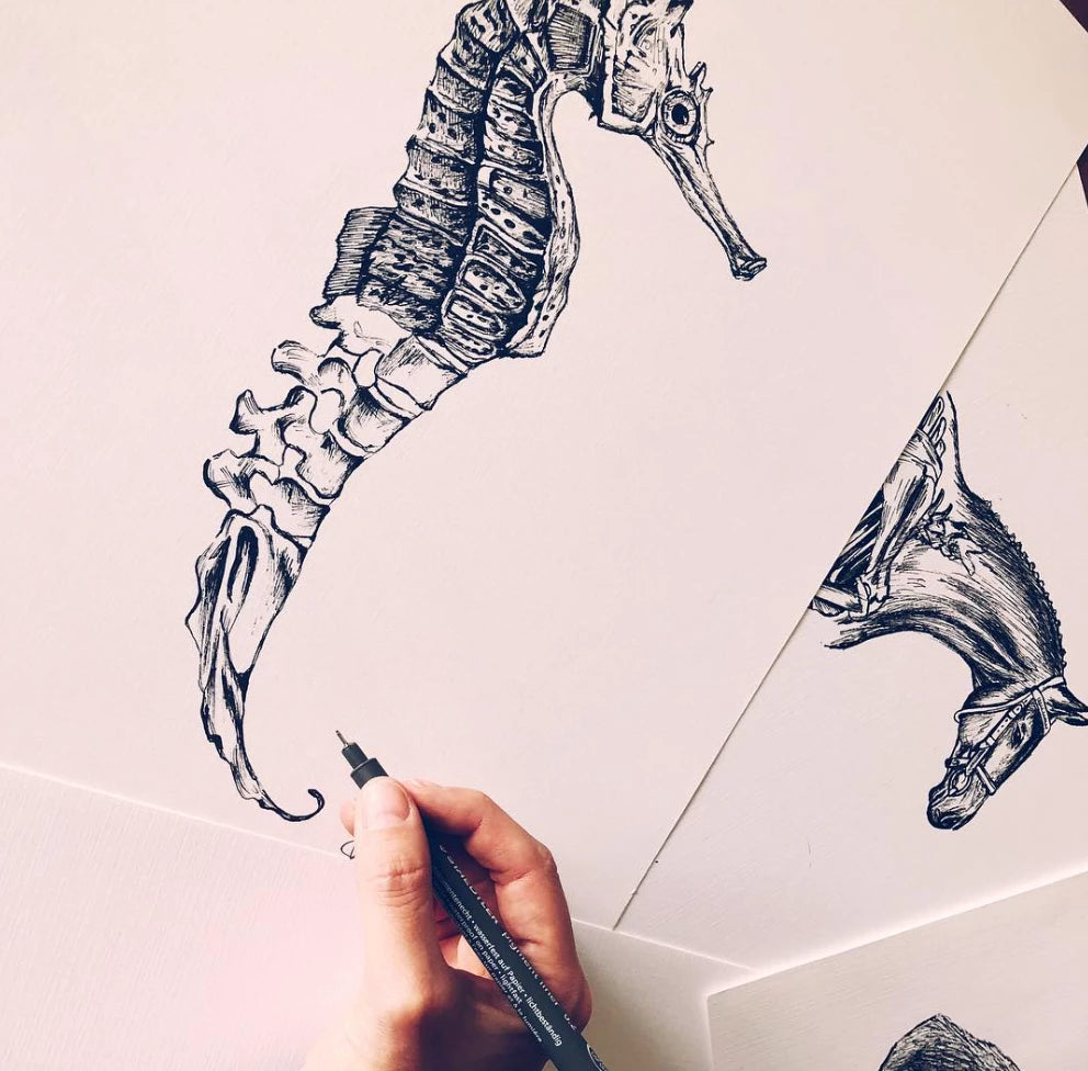 Seahorse, Original Artwork Prints