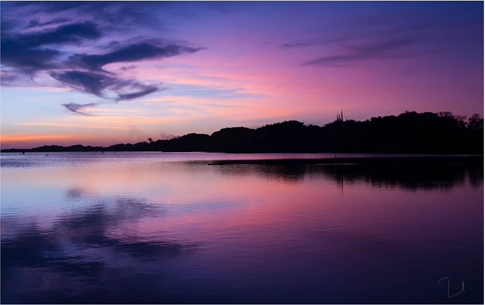 Dusk in the Swamp