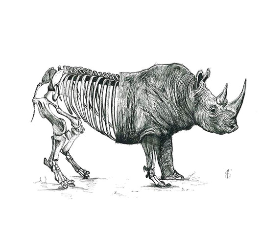 Rino, Original Artwork Prints