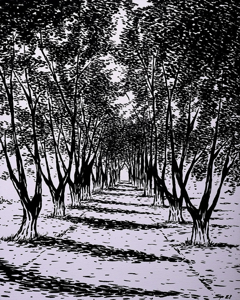 Tree-lined road